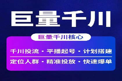 SEM代运营服务公司案例分析：数据驱动营销策略